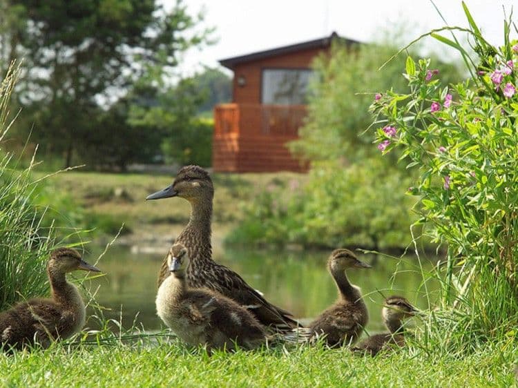 OPEN WEEKEND AT BRIGHOUSE BAY