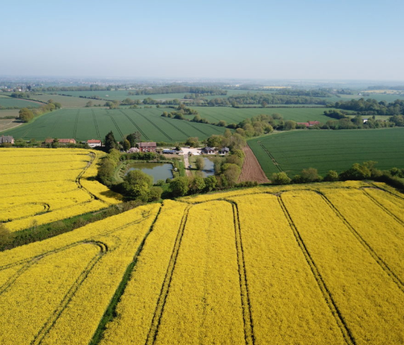 Open Day at Welhams Meadow Suffolk I 31st August 2019